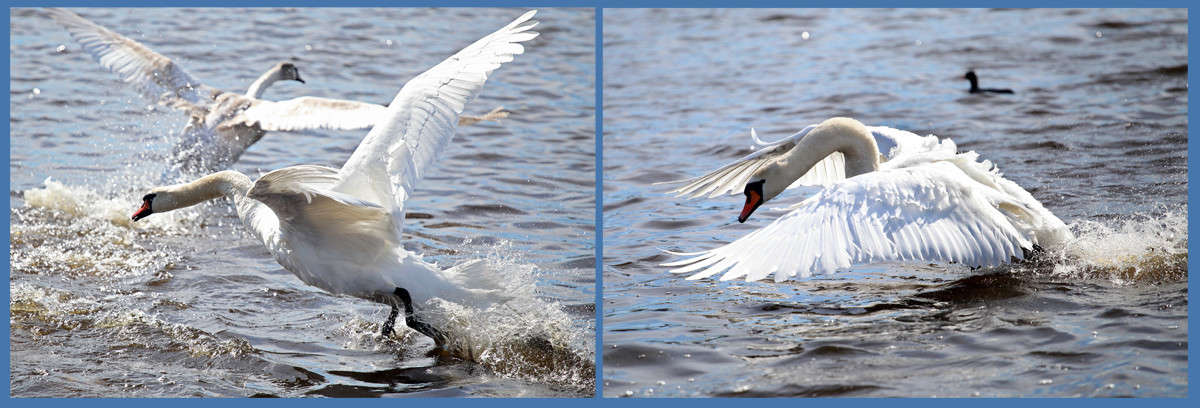 ��� �� ����� ����� Victor  �� PhotoGeek.ru #�������� ���