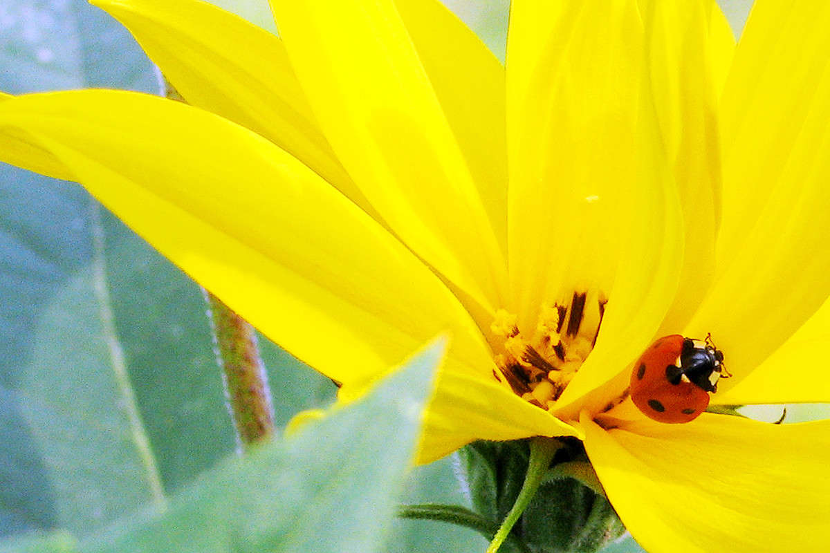 ++++ ����� Victor  �� PhotoGeek.ru #����� #�������� ��� #������ ��� �������