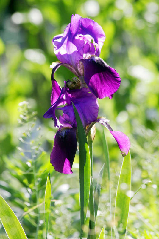 ������ ����� Victor  �� PhotoGeek.ru #����� #������ ��� ������� #����� ��������������