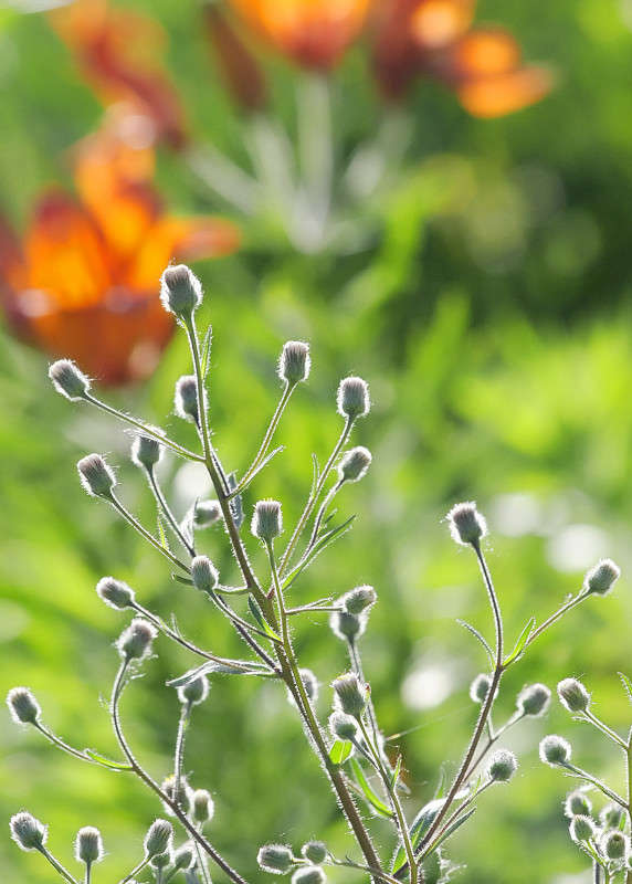 ������ 2 ����� Victor  �� PhotoGeek.ru #����� #������ ��� ������� #����� ��������������