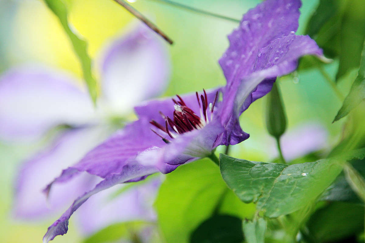���������� ����� Victor  �� PhotoGeek.ru #����� #������ ��� ������� #����� ��������������