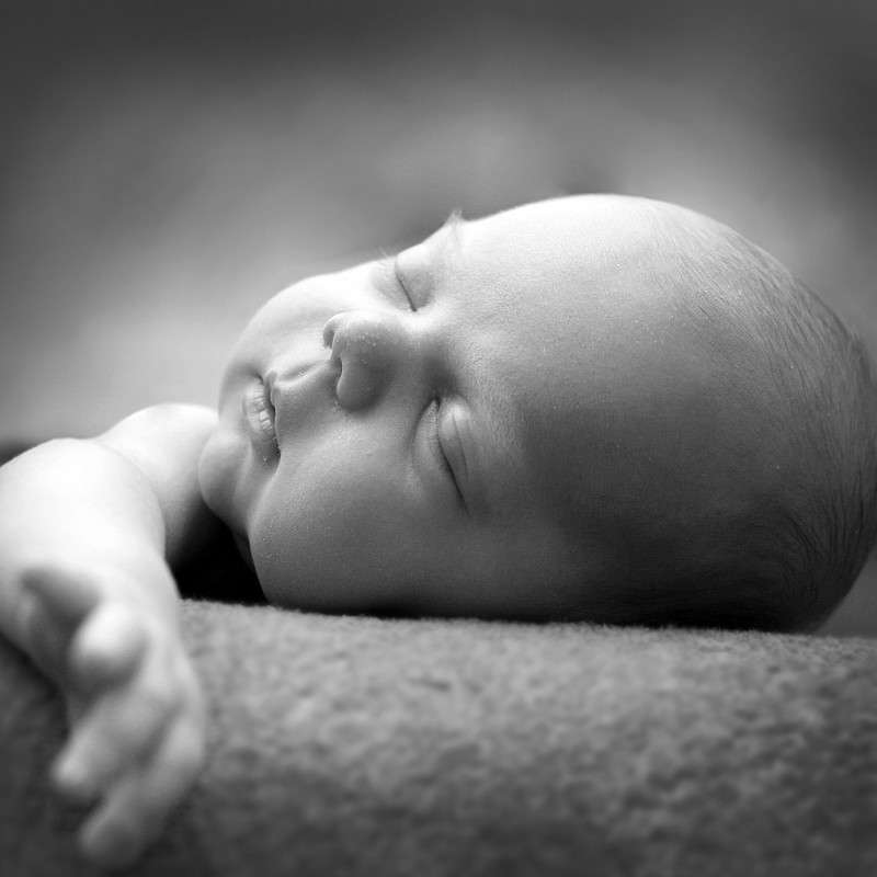 ������� 2 ����� Victor  �� PhotoGeek.ru #�������� ���������� #������� #�����-�����