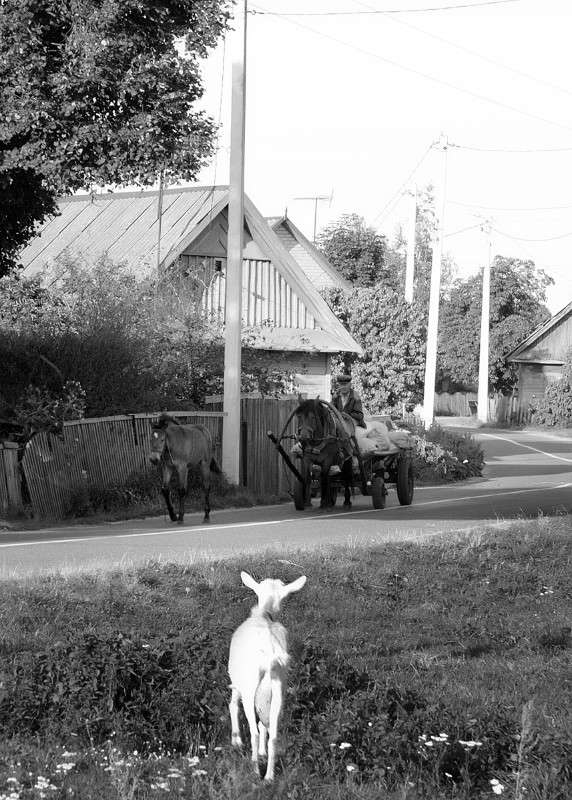 +++ ����� Victor  �� PhotoGeek.ru #��������