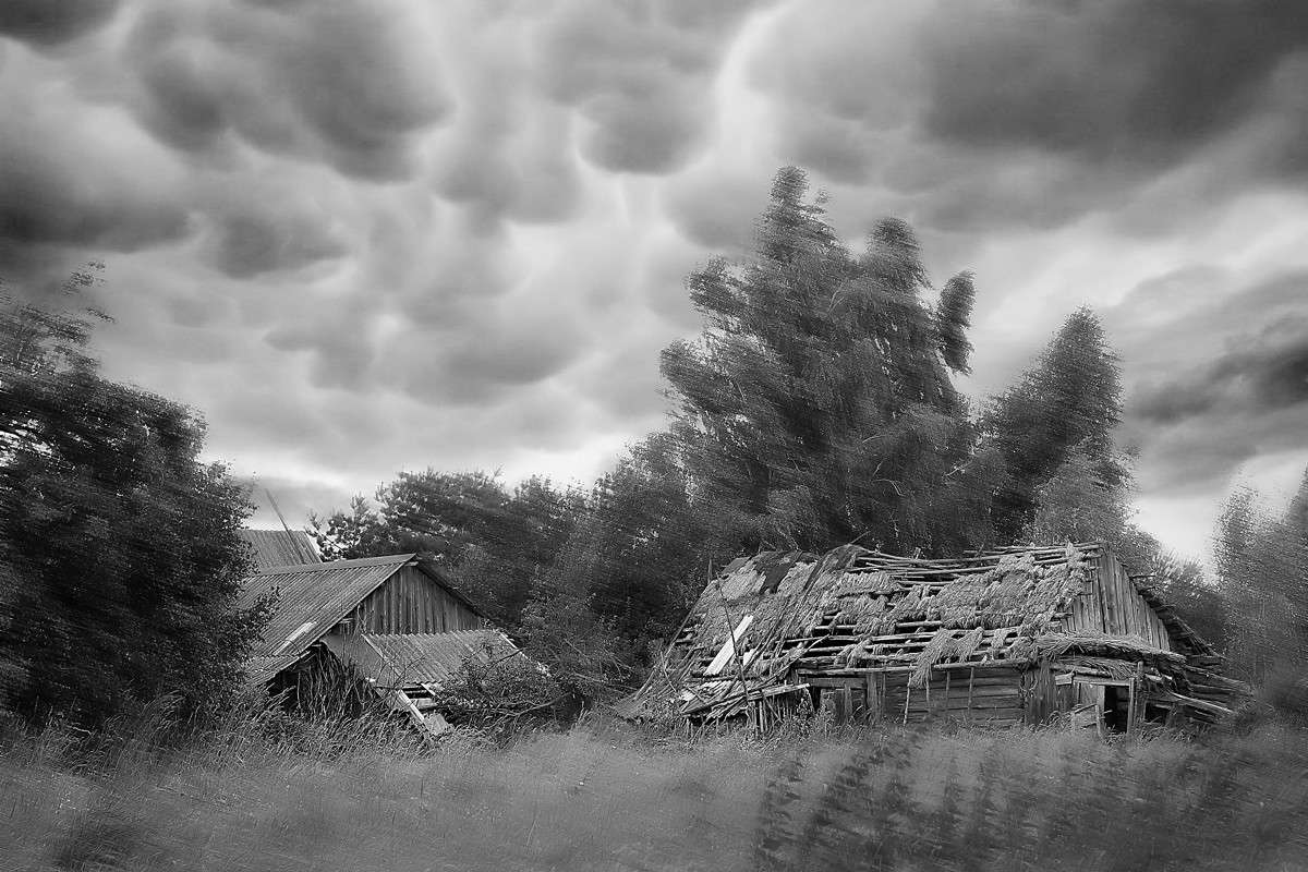 ����� � ������� ����� Victor  �� PhotoGeek.ru #������ ��� ������� #�������� ���������� #����������� #�����-�����
