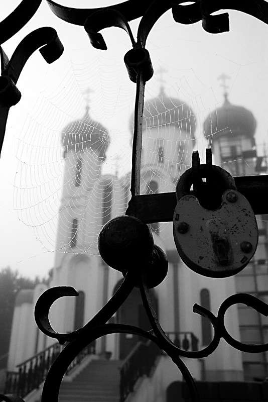 �� ����� ����� Victor  �� PhotoGeek.ru #�����������