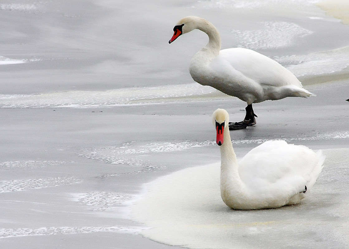 ..��� �� ����� ��� ����???? ����� Victor  �� PhotoGeek.ru #�������� ���