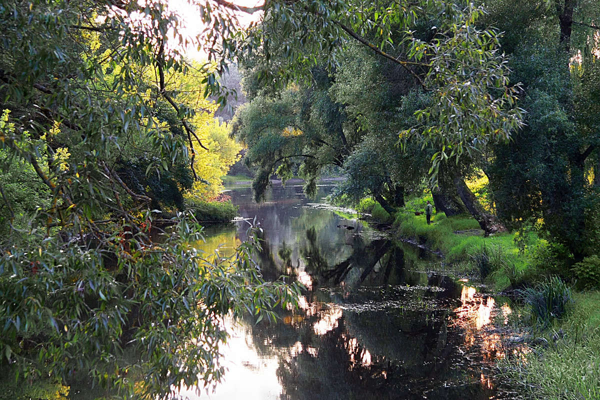 ��� ��� ������� ������� � ��� ����� Victor  �� PhotoGeek.ru #������ ��� �������