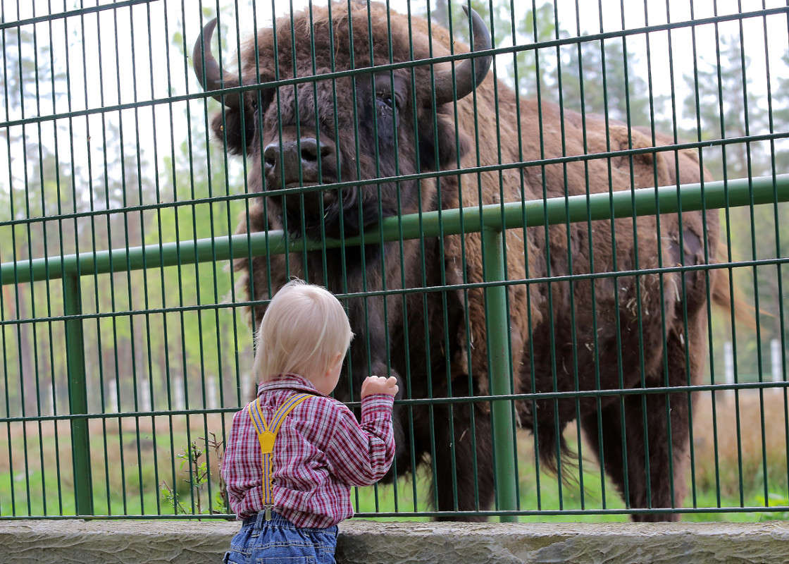 �� ������ ���� ������??? ����� Victor  �� PhotoGeek.ru #�������� ��� #������ ��� ������� #�������� ���������� #������� #����� ��� ��� ��������� #����� ��������