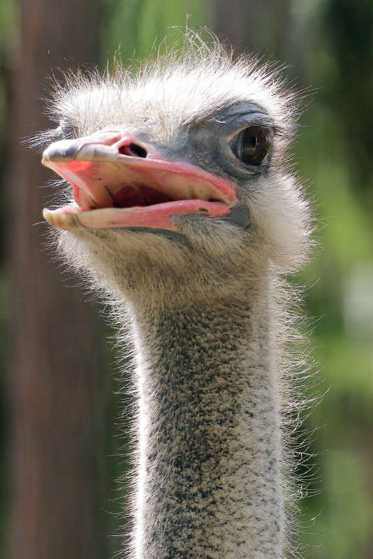 ����...�� ����� Victor  �� PhotoGeek.ru #�������� ��� #����� ��� ��� ���������