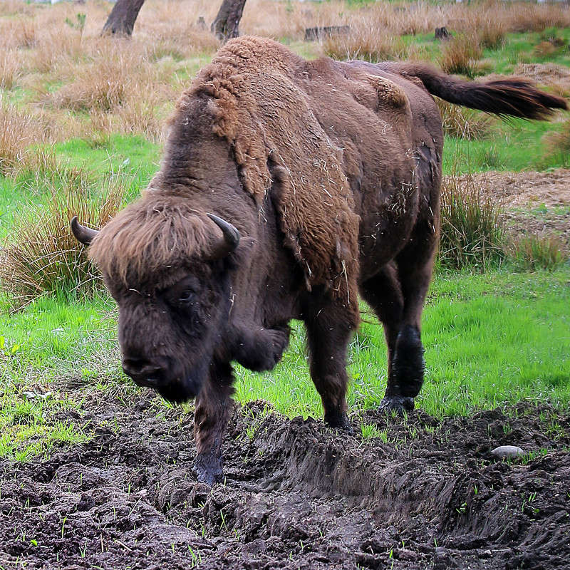 ������ ����������� ���� ����� Victor  �� PhotoGeek.ru #�������� ���