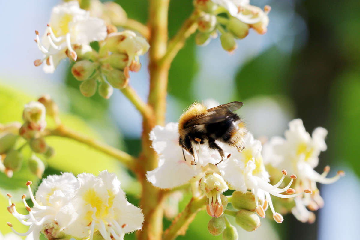 ... ����� Victor  �� PhotoGeek.ru #����� #�������� ��� #������ ��� ������� #���������