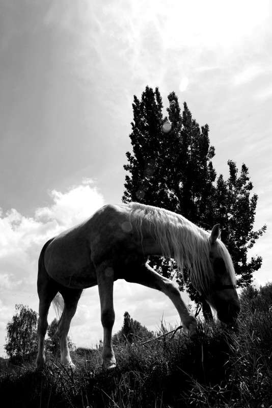 ������� ����� Victor  �� PhotoGeek.ru #�������� ��� #������ ��� ������� #�����-�����