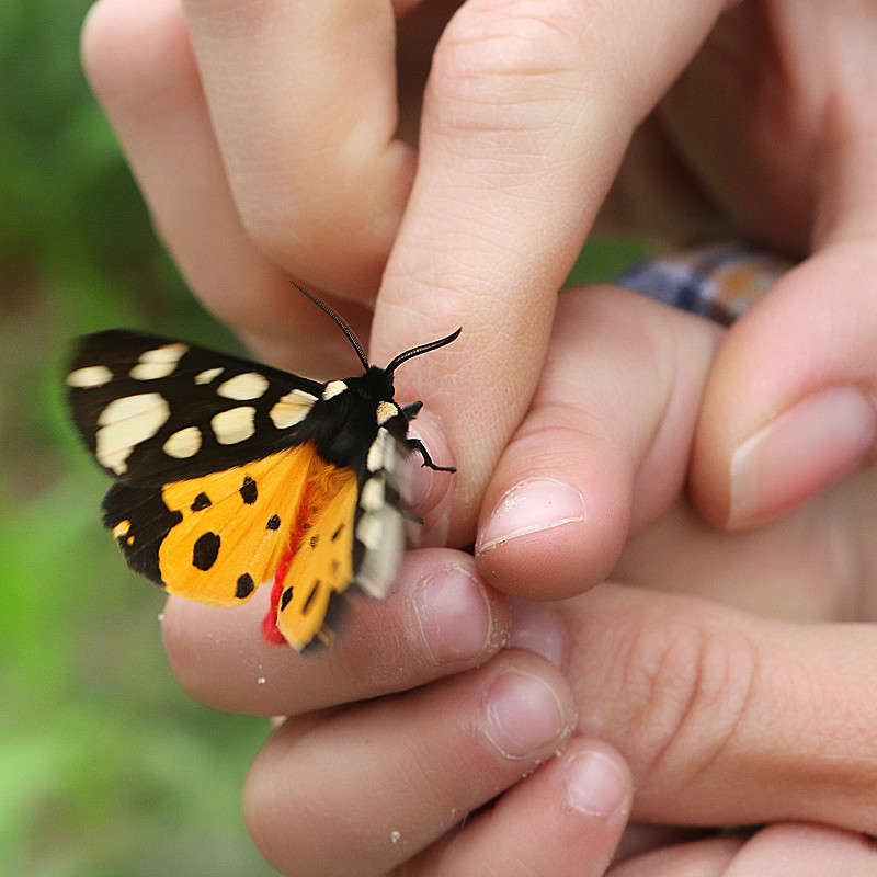 ��� � ����� �����---��� ����� Victor  �� PhotoGeek.ru #�������� ����������