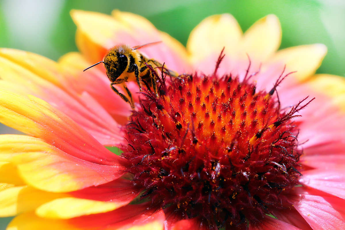 ������ ���� ����� Victor  �� PhotoGeek.ru #����� #������ ��� ������� #�������� ����������