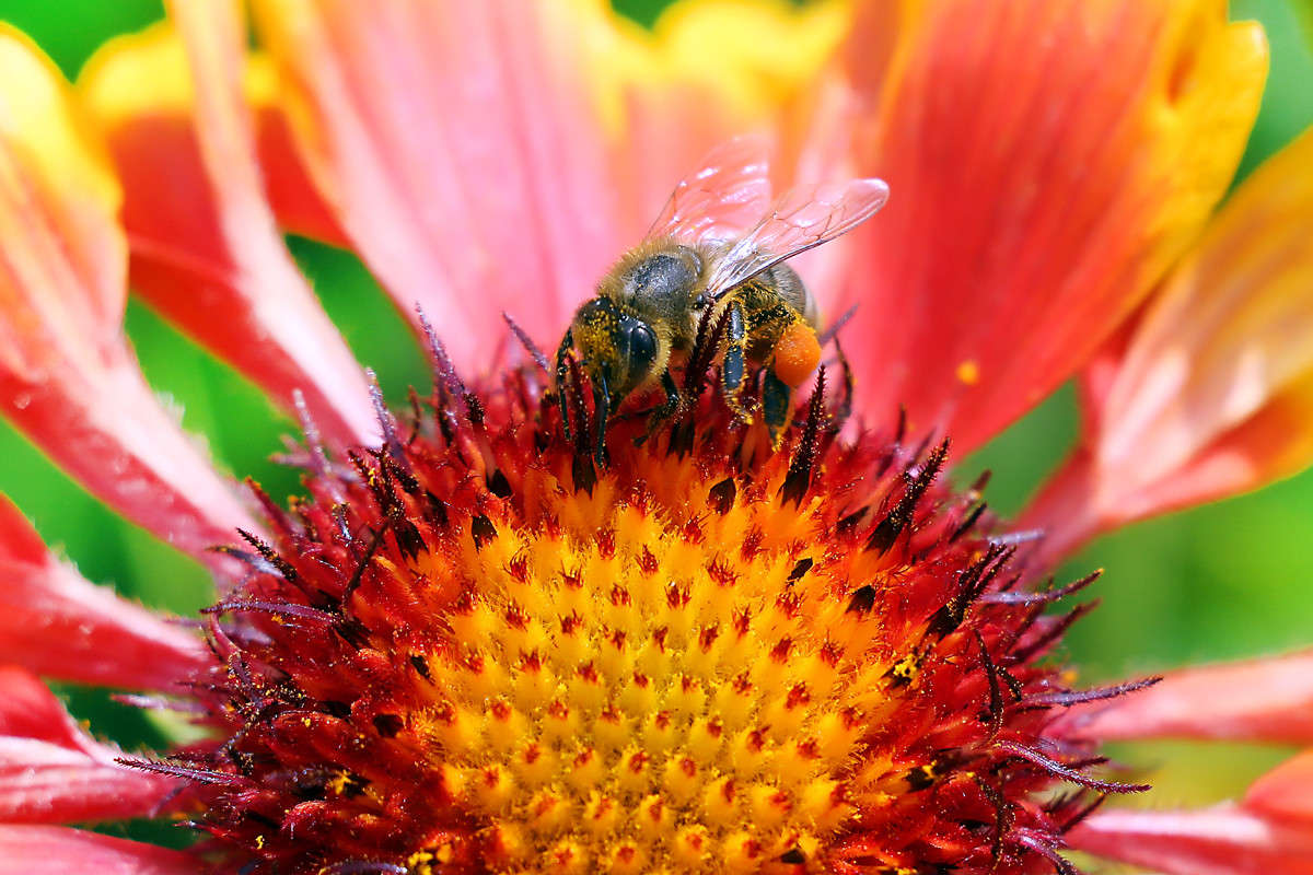 JU-JU ����� Victor  �� PhotoGeek.ru #����� #�������� ���