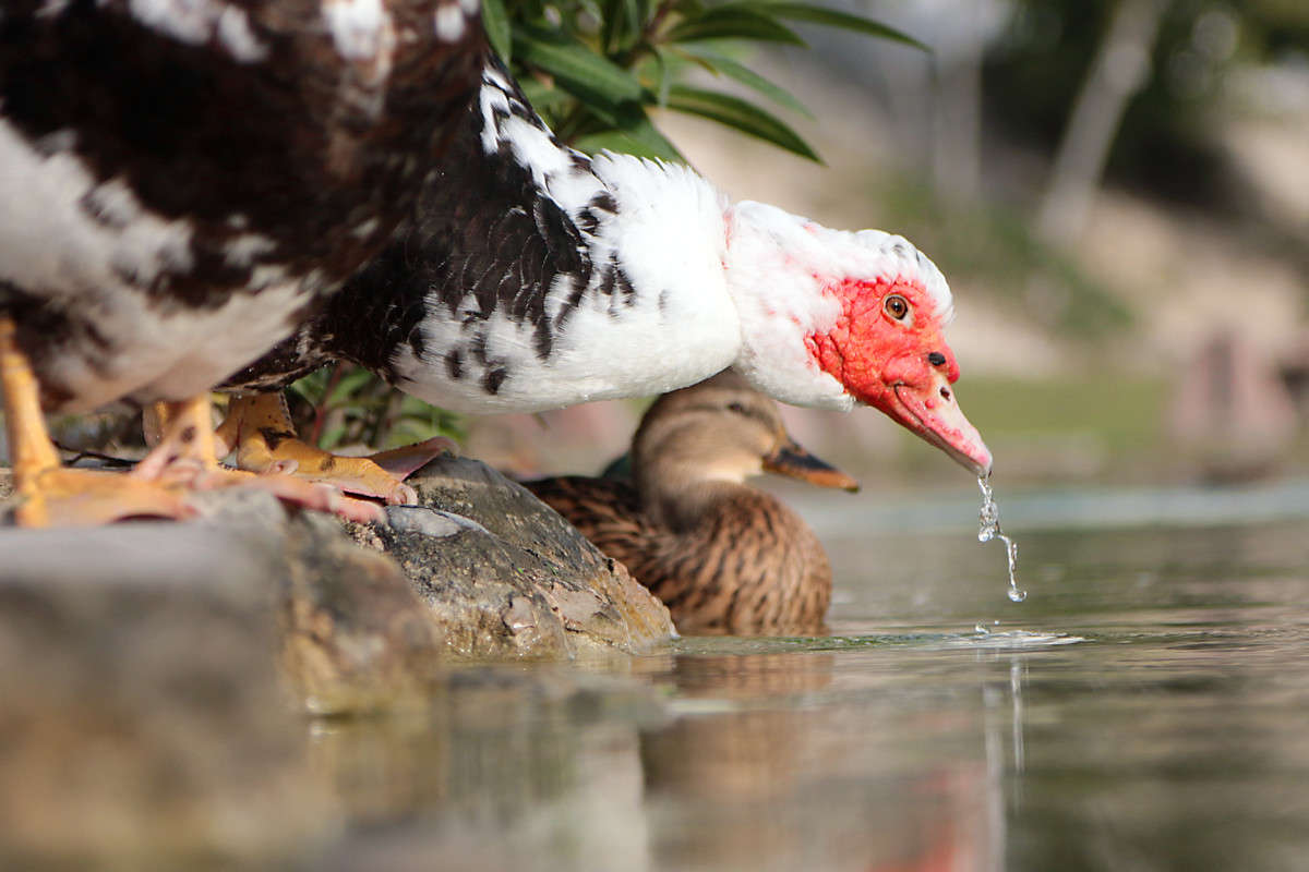 ������� ����� Victor  �� PhotoGeek.ru #�������� ���