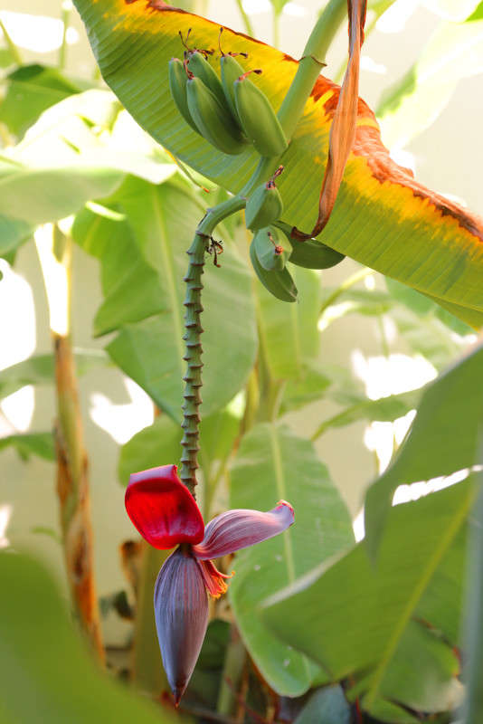 ������ ����� Victor  �� PhotoGeek.ru #������ ��� �������