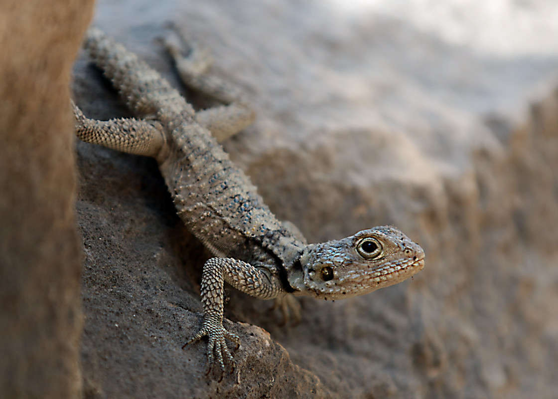 ������� ����� Victor  �� PhotoGeek.ru #�������� ���