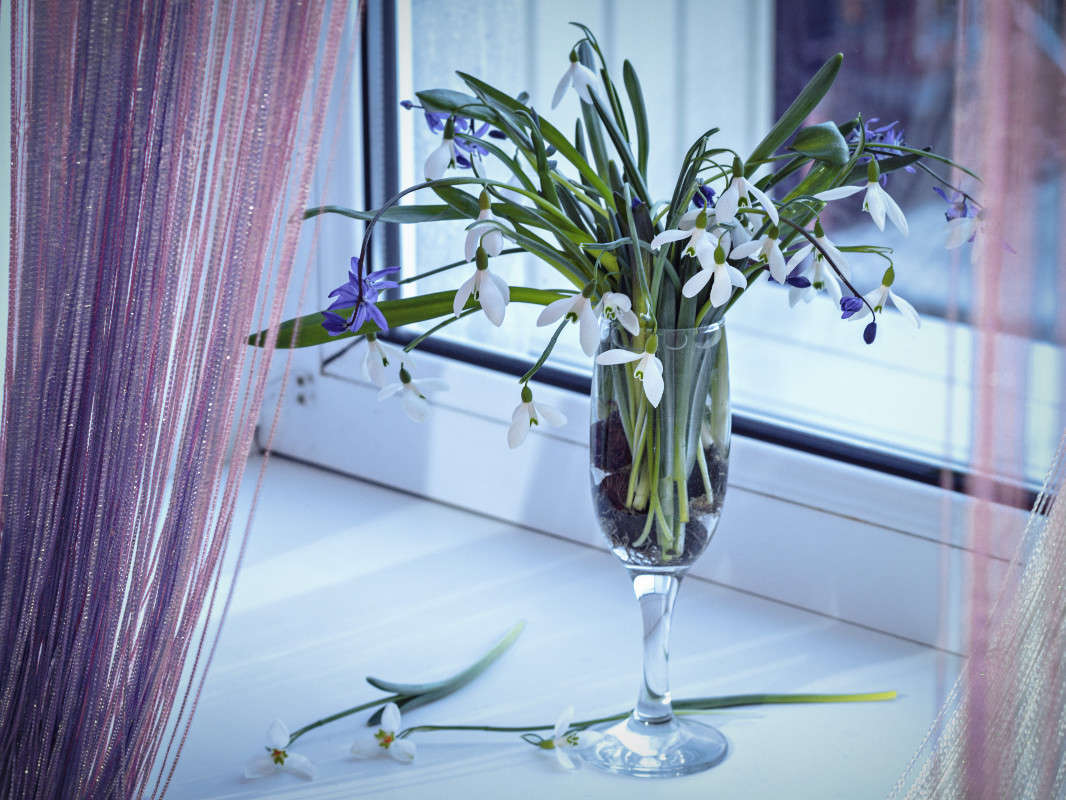 ���������� ����� ����� ����� �� PhotoGeek.ru #��������� #�������������