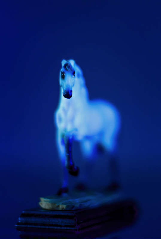 ��� ������� ��������� � ���� ������ ����� ����� ����� �� PhotoGeek.ru #�������