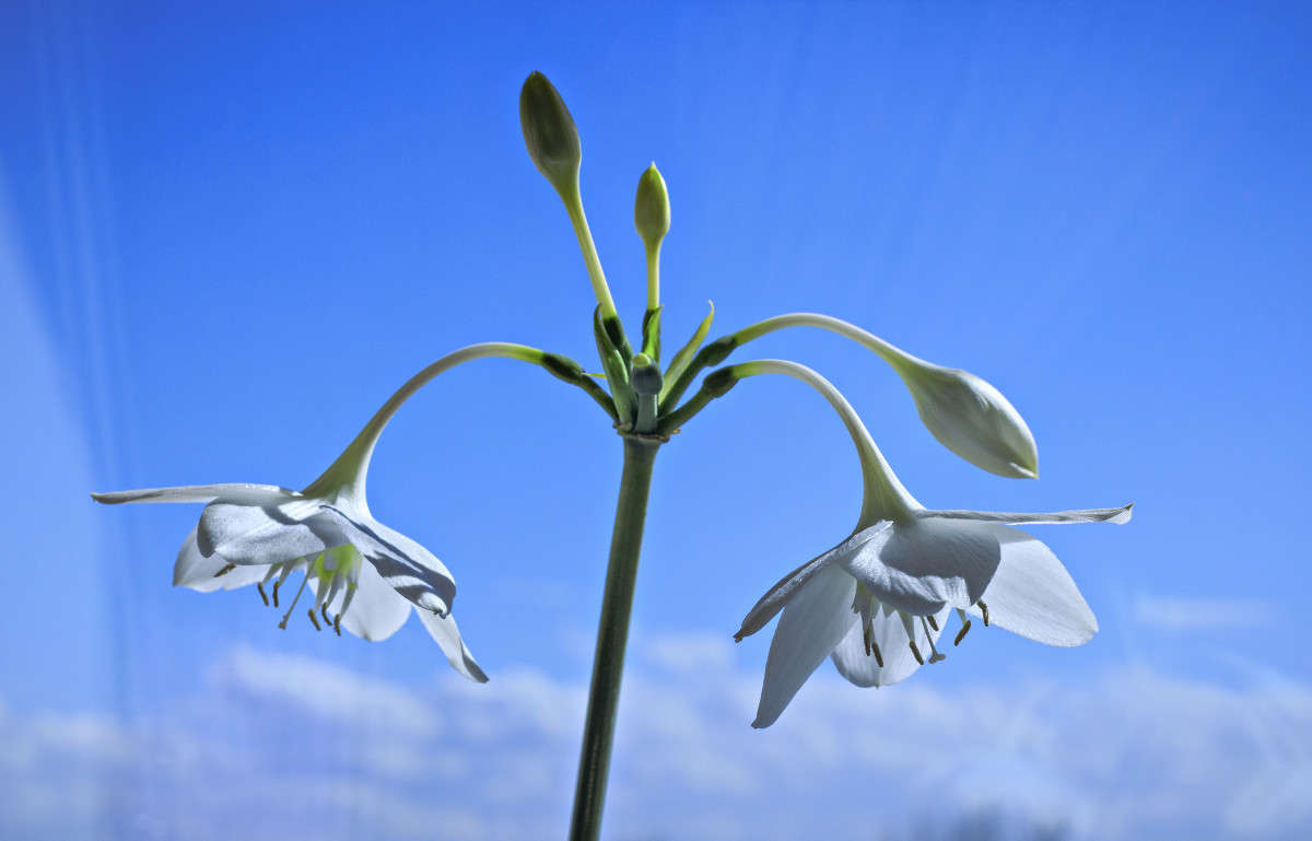 � �� ����� ����� ������, �� �������� �����... ����� ����� ����� �� PhotoGeek.ru #���������