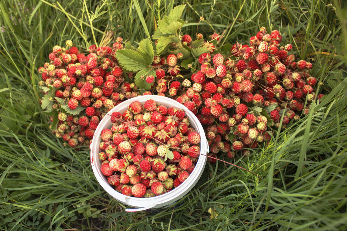 ������������ ���������� �� ��������� ����� ����� ����� �� PhotoGeek.ru #���������