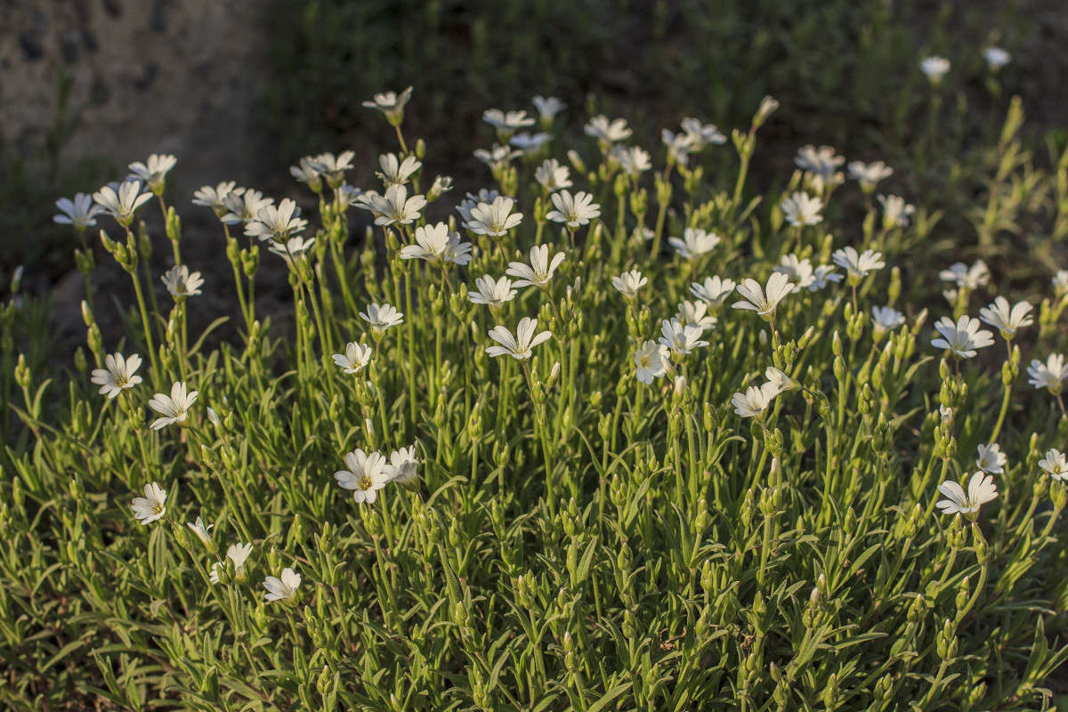 ����� ���� ��������� ������ �� �������� ��������� ����� ����� ����� �� PhotoGeek.ru #������ ��� �������