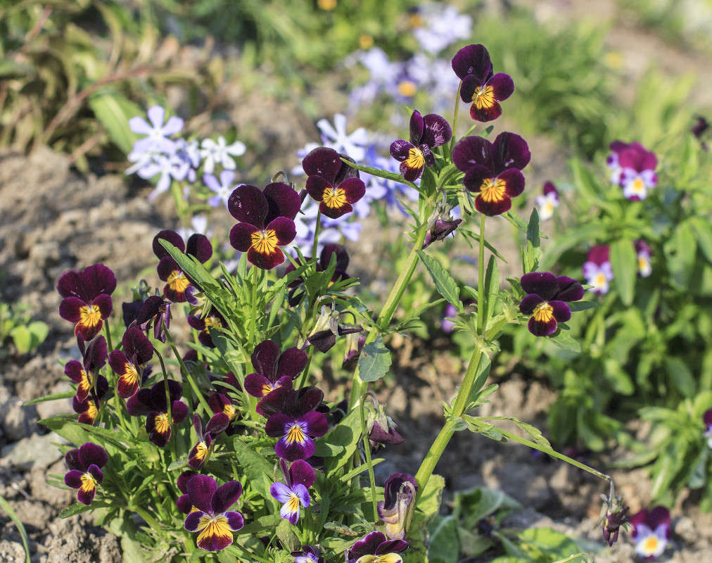 ���, ������ ��� ����� ����� ����� �� PhotoGeek.ru #������ ��� �������