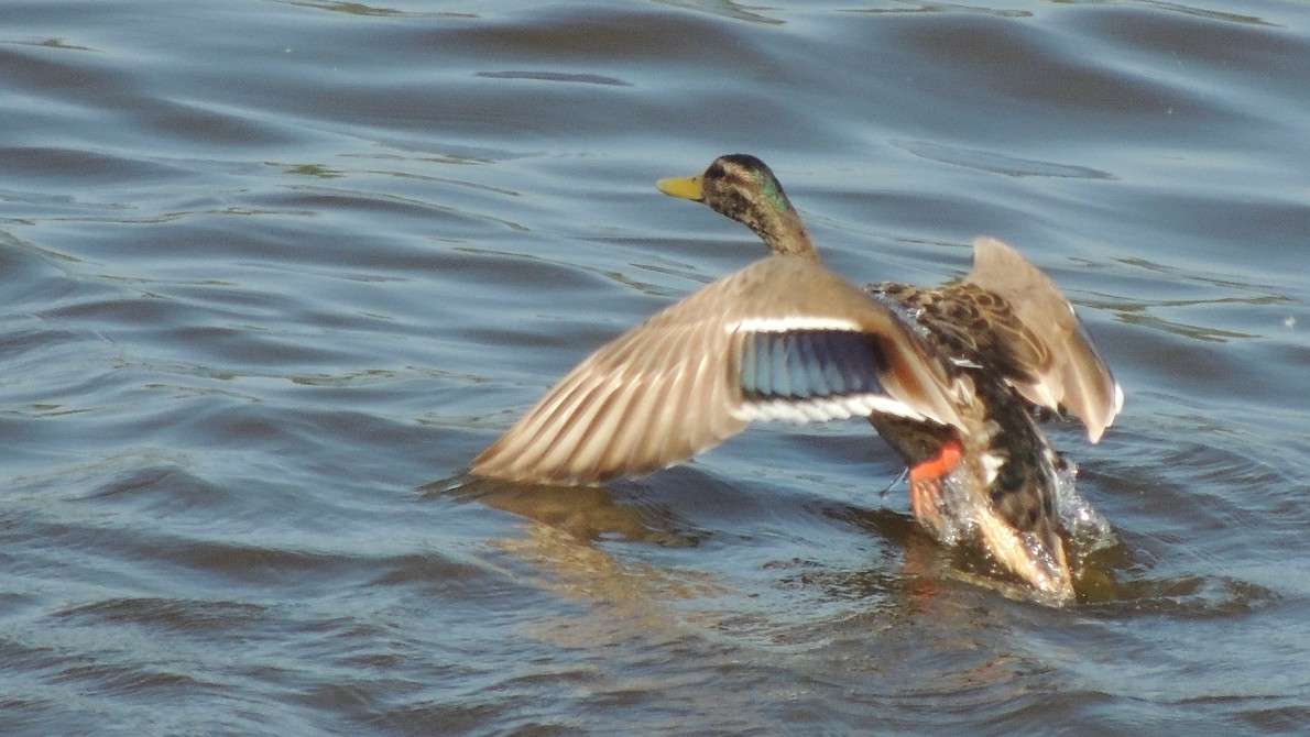 ������ ����� ��������  �� PhotoGeek.ru #�������� ���