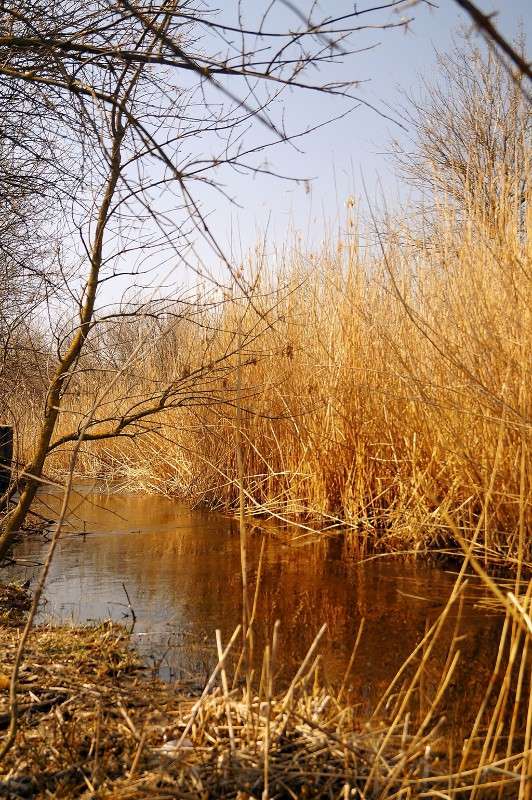 ������ ������ ����� �������� ��������� �� PhotoGeek.ru #������ ��� �������