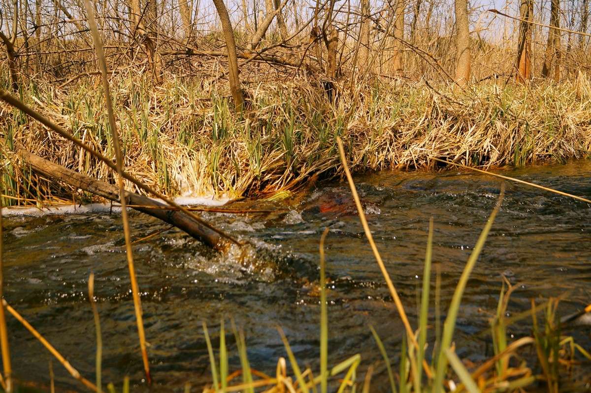 ����� ����� �������� ��������� �� PhotoGeek.ru #������ ��� ������� #����� ��������