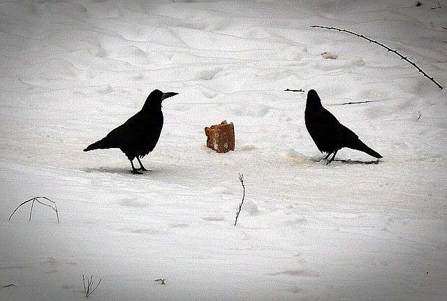 ��������... ����� �������� ��������� �� PhotoGeek.ru #�������� ��� #����� ��� ��� ���������