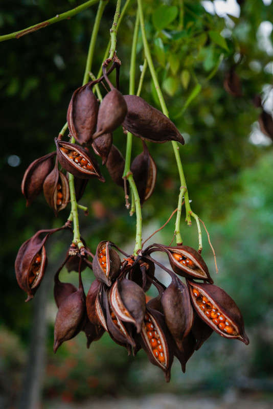 ... ����� �������� ��������� �� PhotoGeek.ru #������ ��� ������� #����� �������������� #������