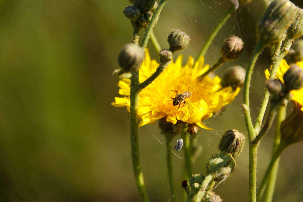 ���� ������ ����� Evgeniy Poterevich �� PhotoGeek.ru #����� #�������� ��� #���������