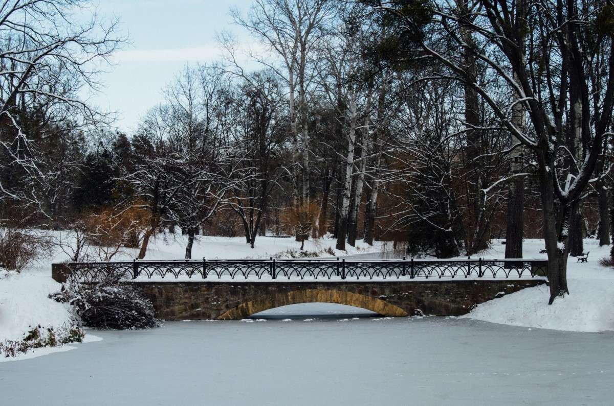 зимовий парк автор  Иванка  на PhotoGeek.ru #Пейзаж или природа