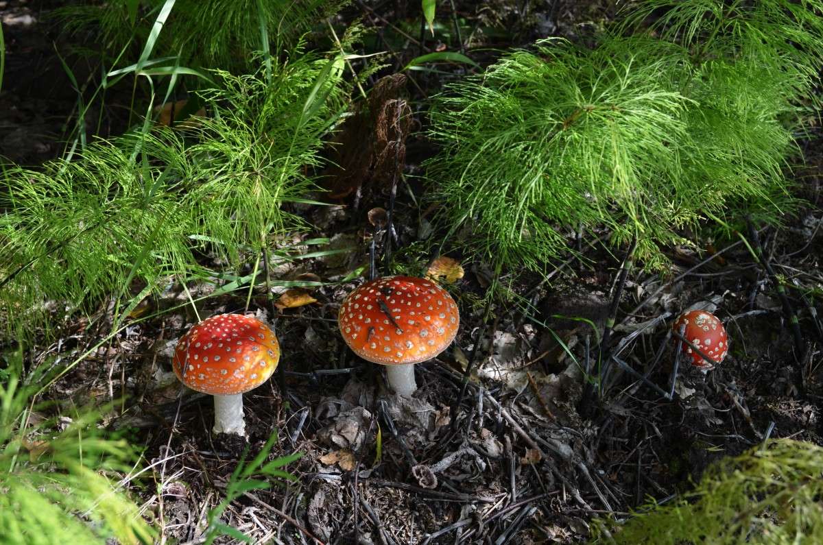 ���������� ����� ����  �� PhotoGeek.ru #������ ��� �������