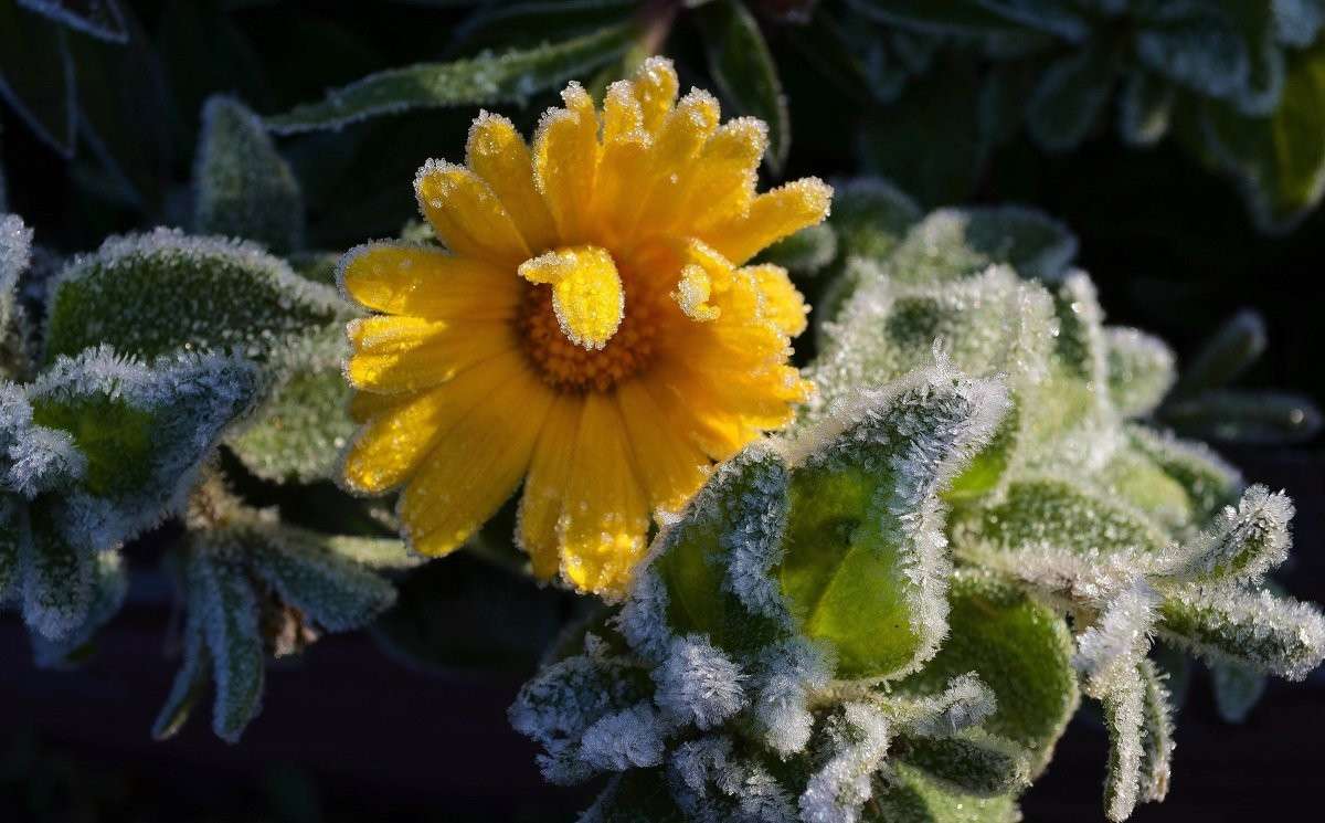 ������� ��������� ����� ����  �� PhotoGeek.ru #������ ��� �������