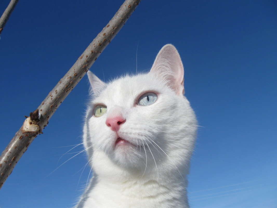 ��������� ����� ����  �� PhotoGeek.ru #�������� ���