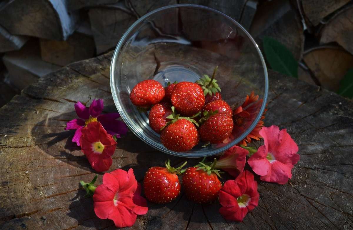 ��������� ���� ����� ����  �� PhotoGeek.ru #���������