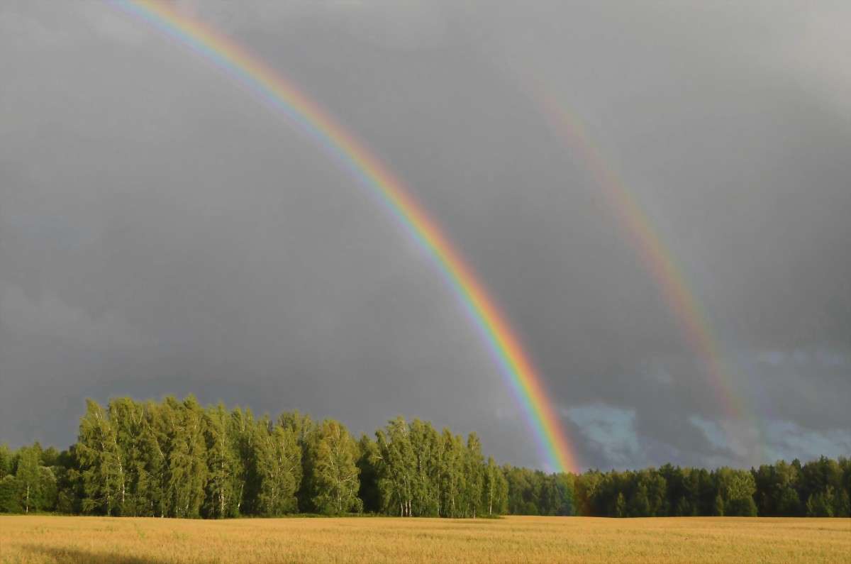 ����� ����� ����� ����  �� PhotoGeek.ru #������ ��� �������