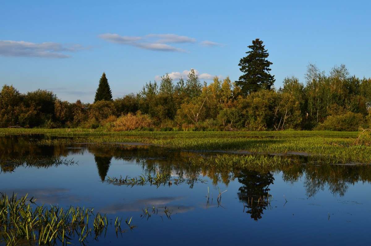 ����� � �������� ����� ����  �� PhotoGeek.ru #������ ��� �������