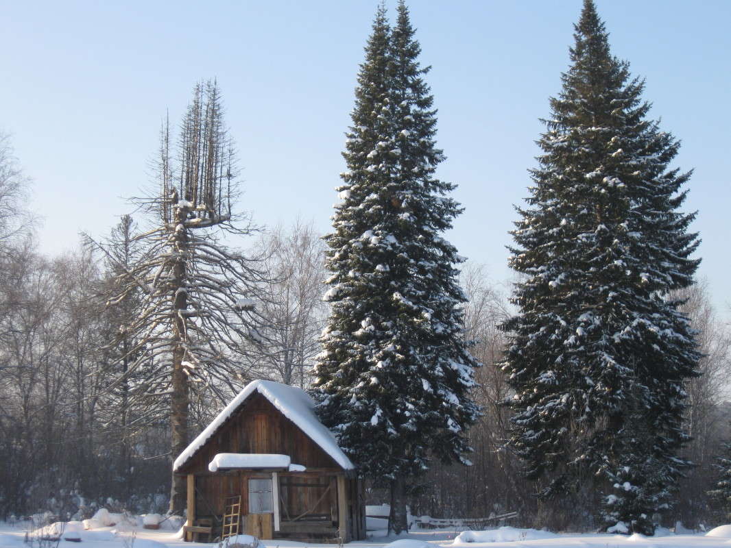 �������, �������... ����� ����  �� PhotoGeek.ru #������ ��� �������