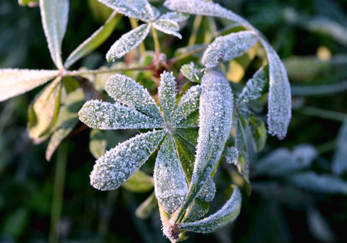 ������� ���� ����� ����  �� PhotoGeek.ru #�����