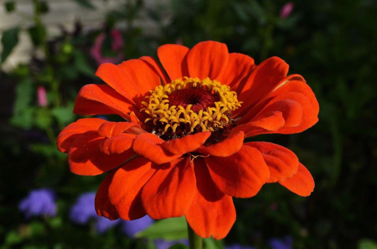 ����� ����� ����  �� PhotoGeek.ru #�����