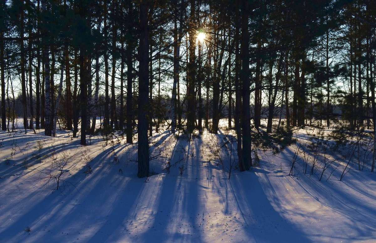 ����� � ������ ����� ����  �� PhotoGeek.ru #������ ��� �������