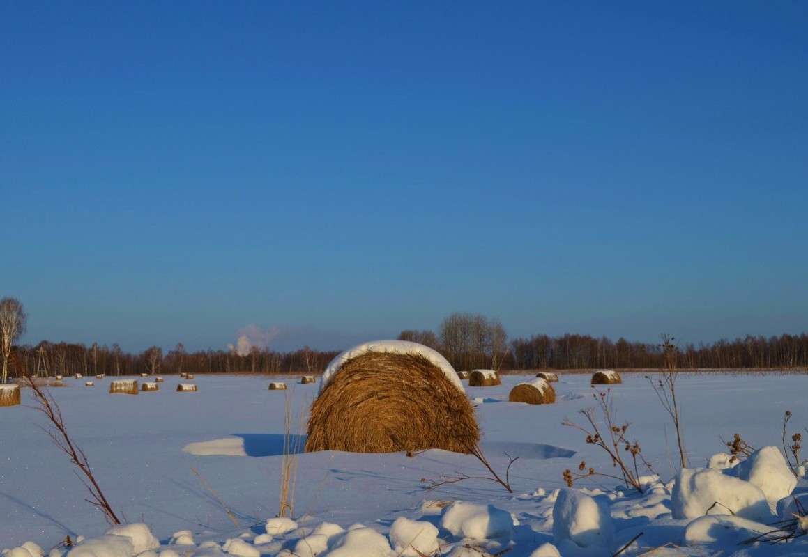 ������ ���� ����� ����  �� PhotoGeek.ru #������ ��� �������