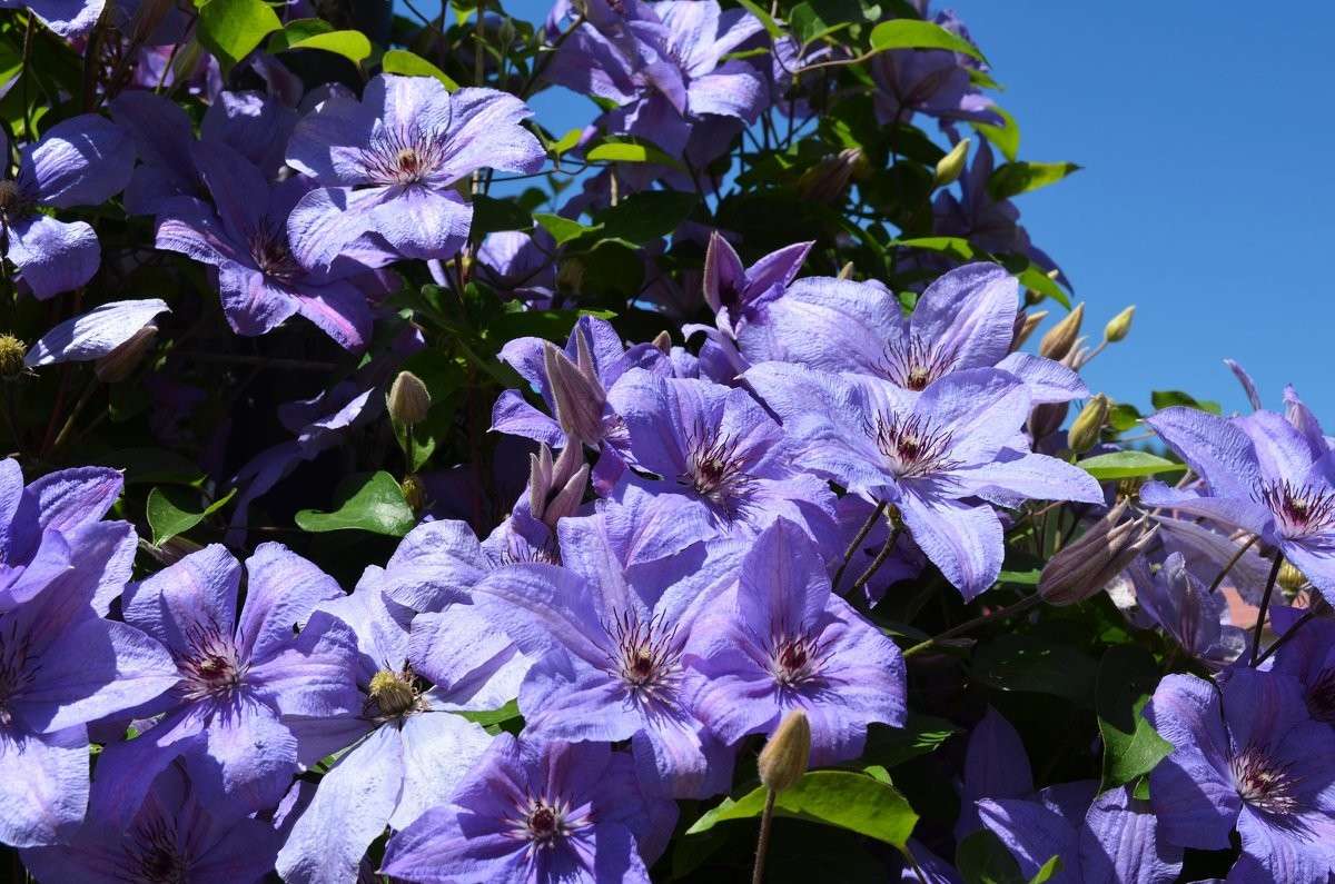 ��������� ����� ����  �� PhotoGeek.ru #�����