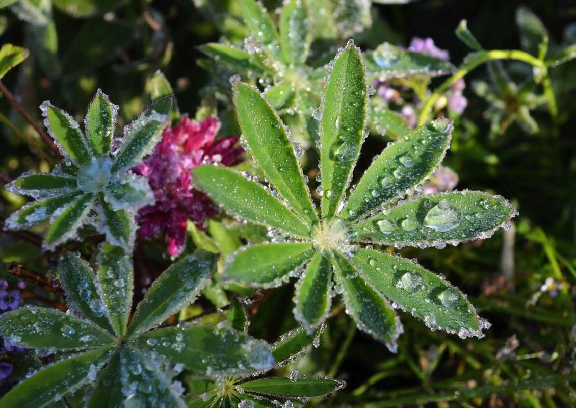 �������� ���� �������� ����� ����  �� PhotoGeek.ru #�����