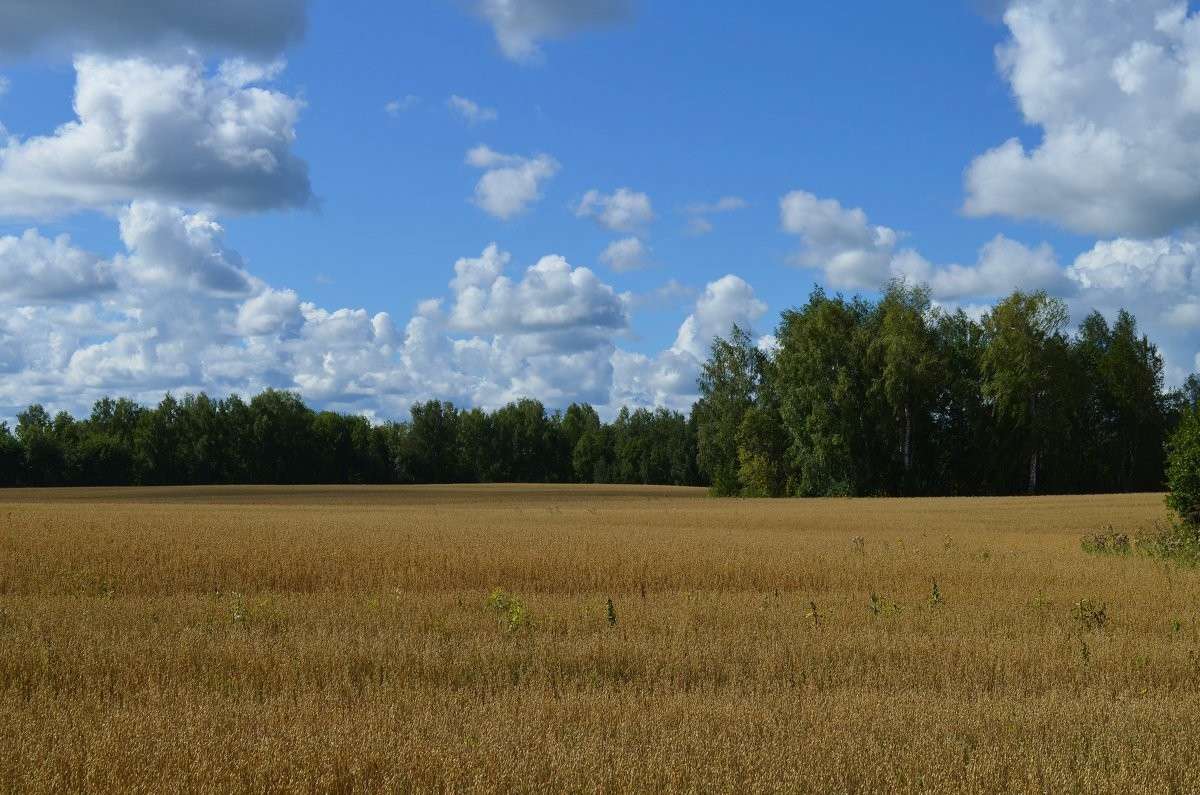 ������ ���� ����� ����  �� PhotoGeek.ru #������ ��� �������