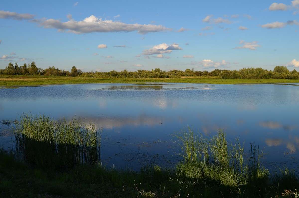 �� ����� ����� ����  �� PhotoGeek.ru #������ ��� �������